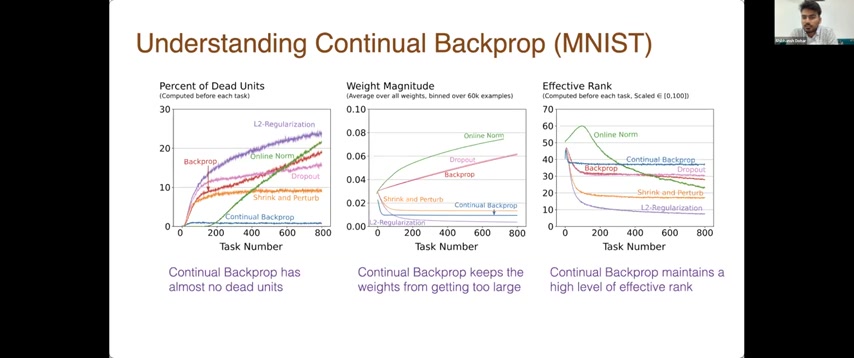Continual Backprop 在置换 MNIST 上完全维持可塑性。