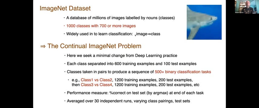 ImageNet 数据集介绍与降采样示例图。