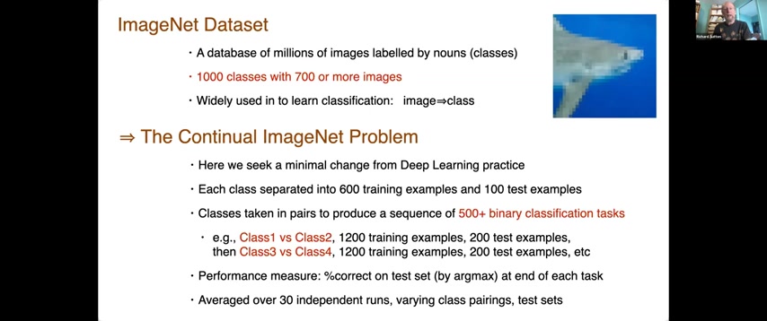 ImageNet 二分类任务序列的实验设置。