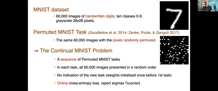 MNIST 置换任务：打乱像素位置生成新任务。